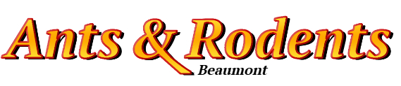 Beaumont Ant Exterminator & Rodent Control Company Logo